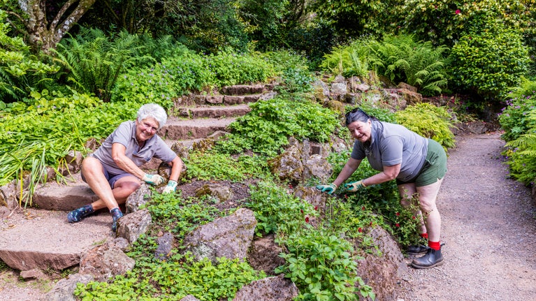 Two gardening volunteers tending to the rock garden at Killerton